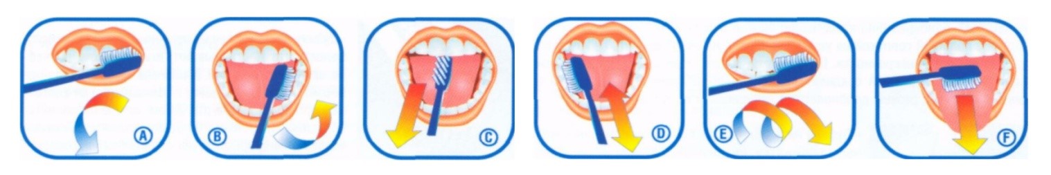 Схема чистки зубов зубной щеткой